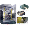 new hot sale automatic eggs chicken farm layer cage